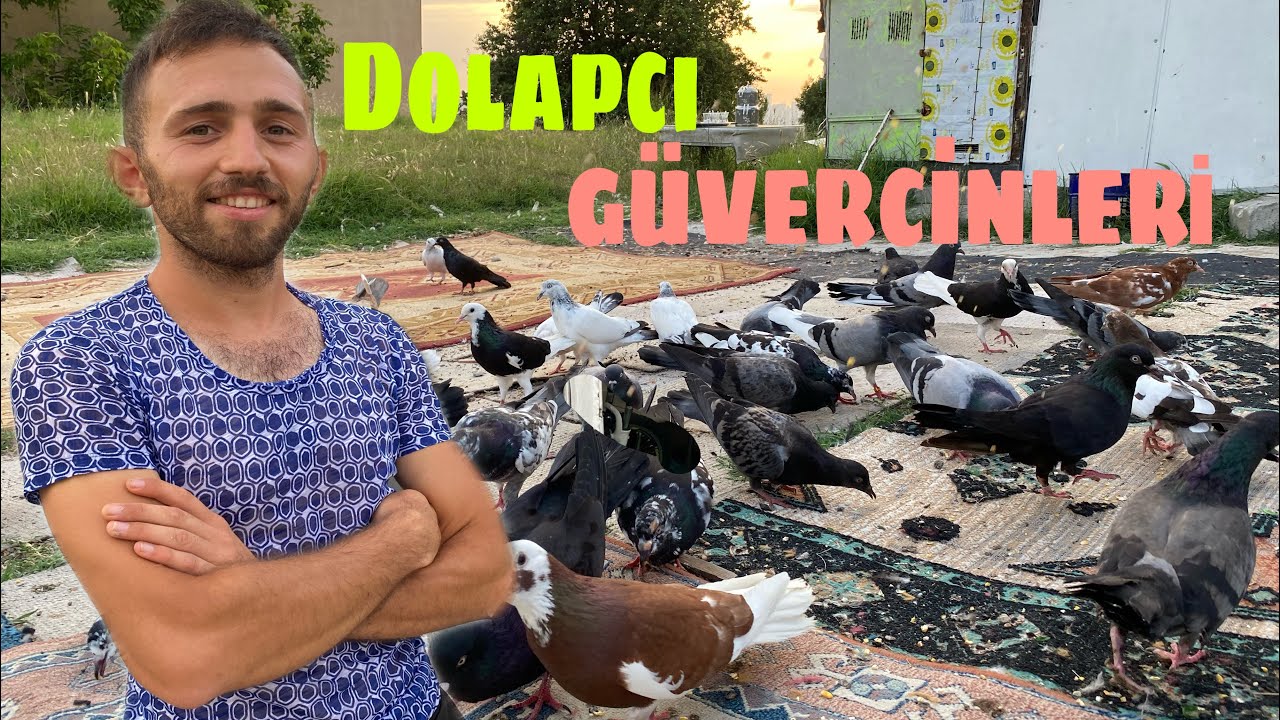 DÖNÜŞLER FENA.DOLAPCI GÜVERCİNLER.SATI GÖK