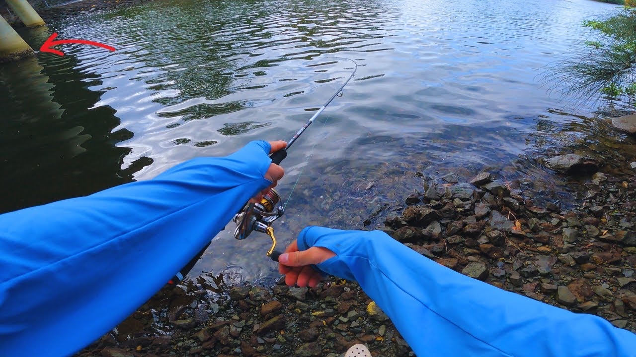 Hooking BIG FISH On Light Tackle! - Fishing The Gold Coast Land-Based