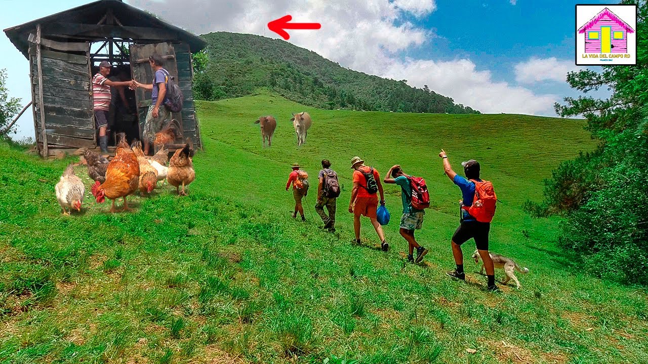SUBIENDO A LA MONTAÑA MAS ALTA DE JARABACOA EL MOGOTE LA VIDA DEL CAMPO RD