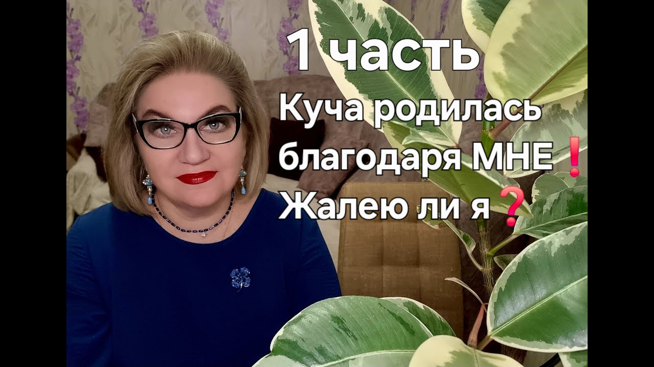 Куча родилась благодаря МНЕ❗Жалею ли я❓