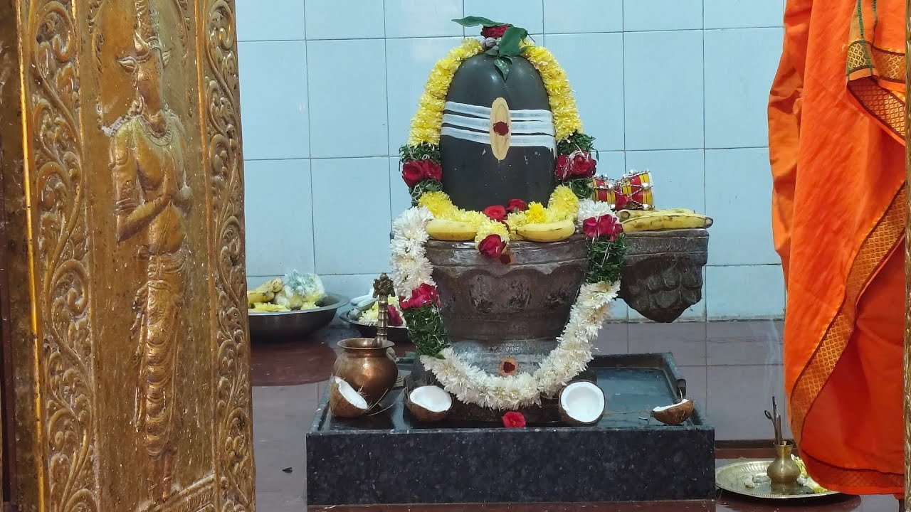 Sri Maha Shivaratri Rudra Namaka Chamaka Abhishekam 🕉️ 🙏🏻 live!