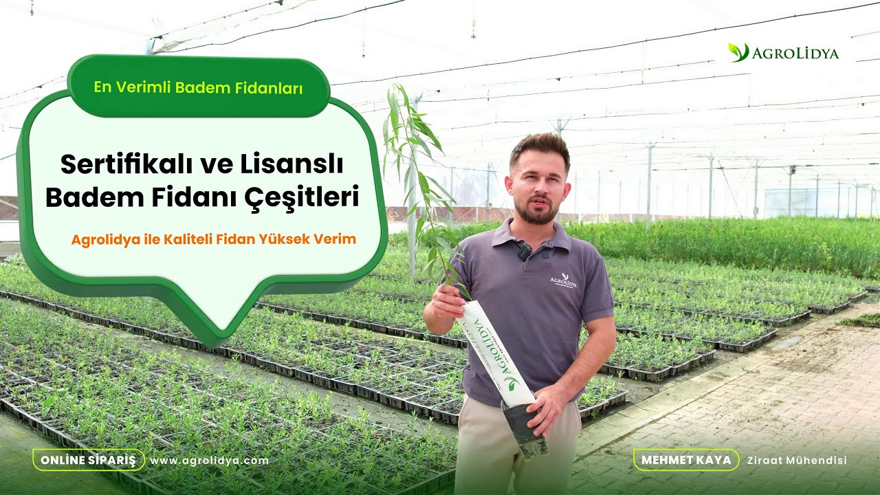 Sertifikalı ve Lisanslı Badem Fidanı Çeşitleri #badem #penta #Lauranne #Ferragnès #bademfidani