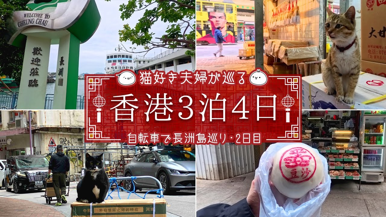 【香港週末猫探し旅】猫探し＆レンタサイクルで長洲島探訪♪1人5万円で行く週末香港3泊4日旅！香港旅②｜旅Vlog