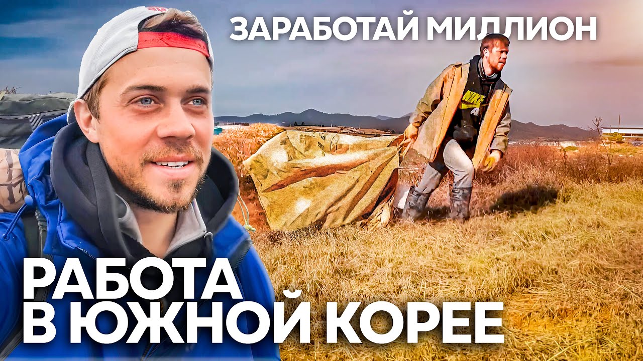 Работа в Южной Корее \ Побег от миграционной полиции и другие приключения гастарбайтера из России