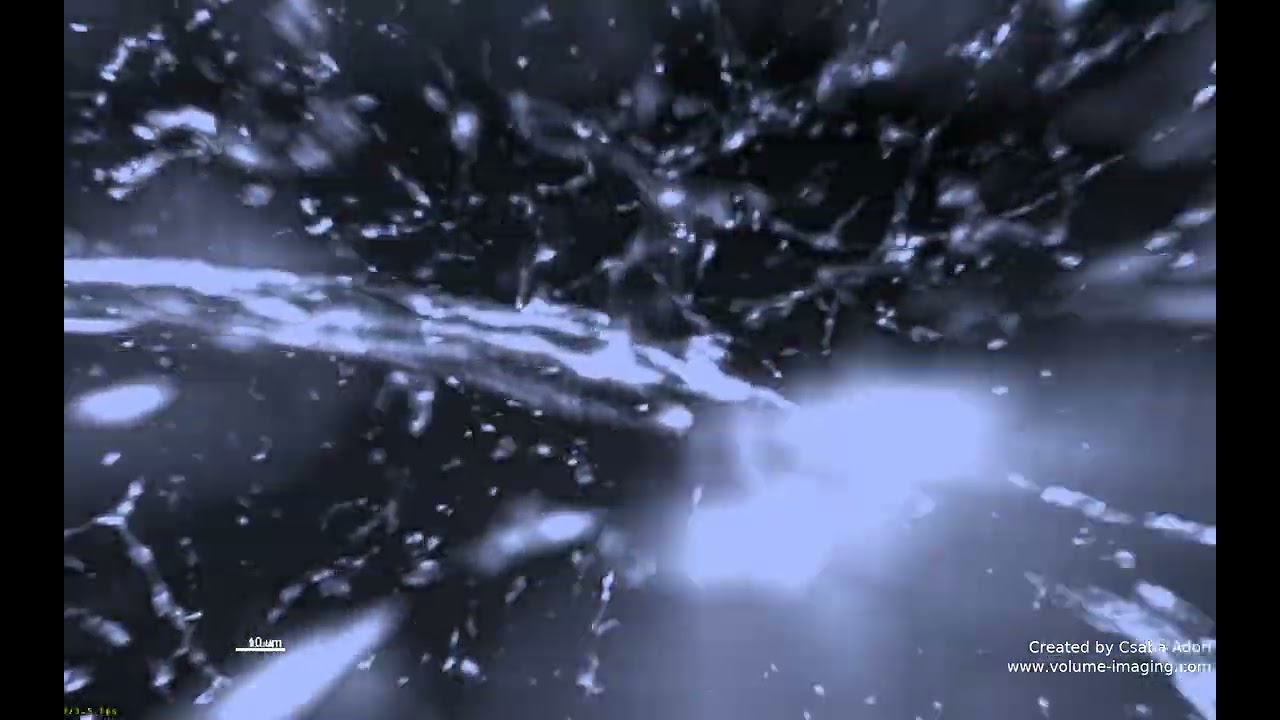 3D volume imaging - ASTROGLIA AND BLOOD VESSELS MOVIE 1