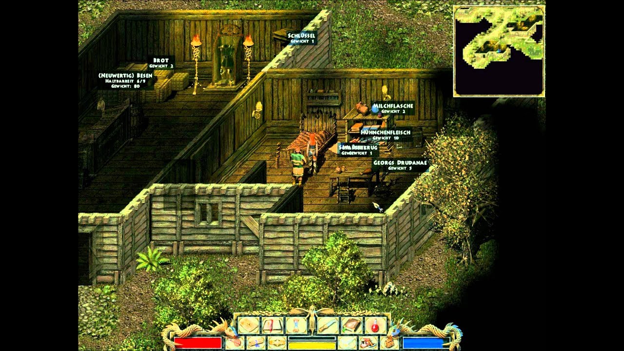 Let's Play Divine Divinity 100% [Deutsch] Teil 2 Krankenheiler und Pflanzendealer