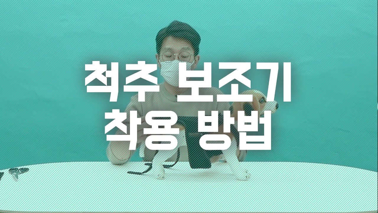 펫츠오앤피 강아지 척추보조기 착용방법
