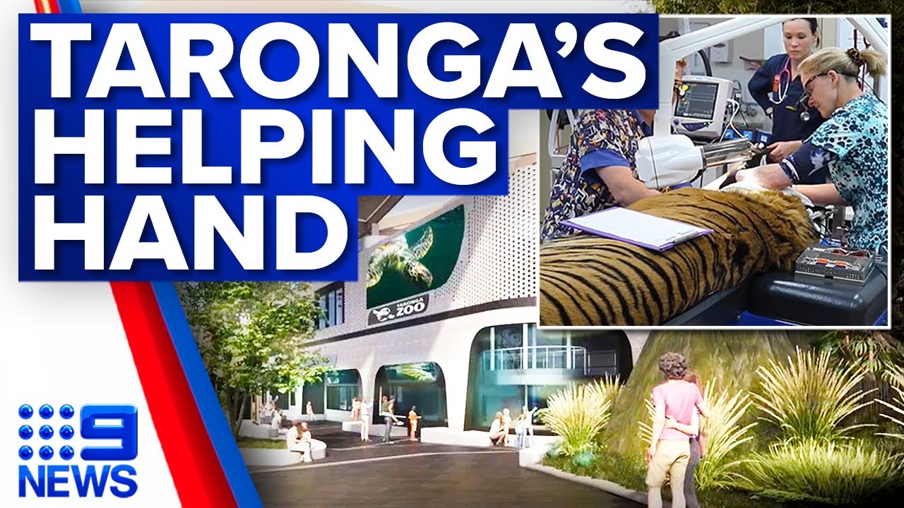 New animal hospital set to open at Taronga Zoo by 2025 | 9 News Australia