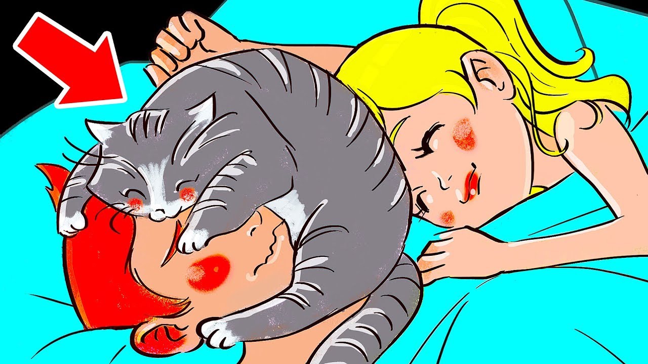 Como Mostrar a Seu Gato o Quanto o Ama