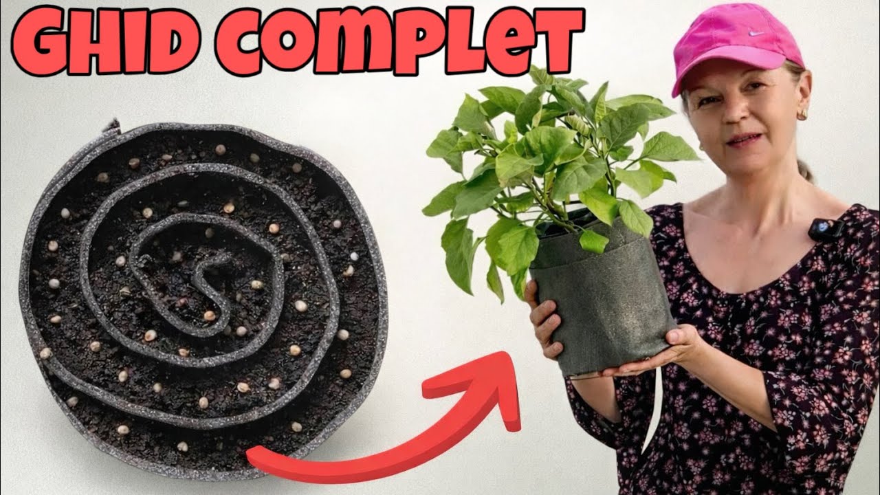 Răsaduri MARI în spații mici 🌱 Tutorial -  melcul cu semințe #seed snail