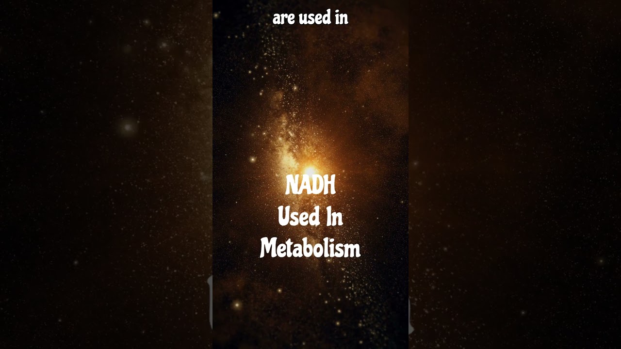 Glycolysis For Metabolism #respiration #facts #nadp #glycolysis #neet2025 #synthesis #advantages
