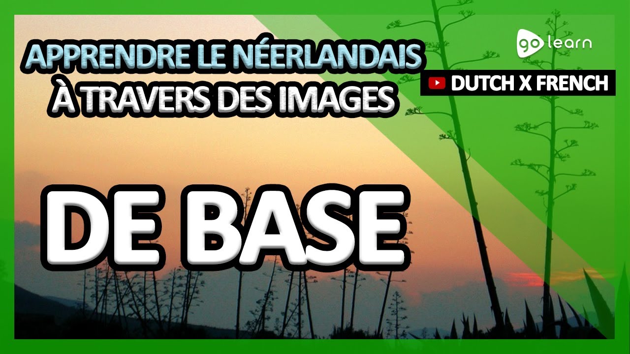 Apprendre Le Néerlandais À Travers Des Images |Vocabulaire Néerlandais De Base | Golearn