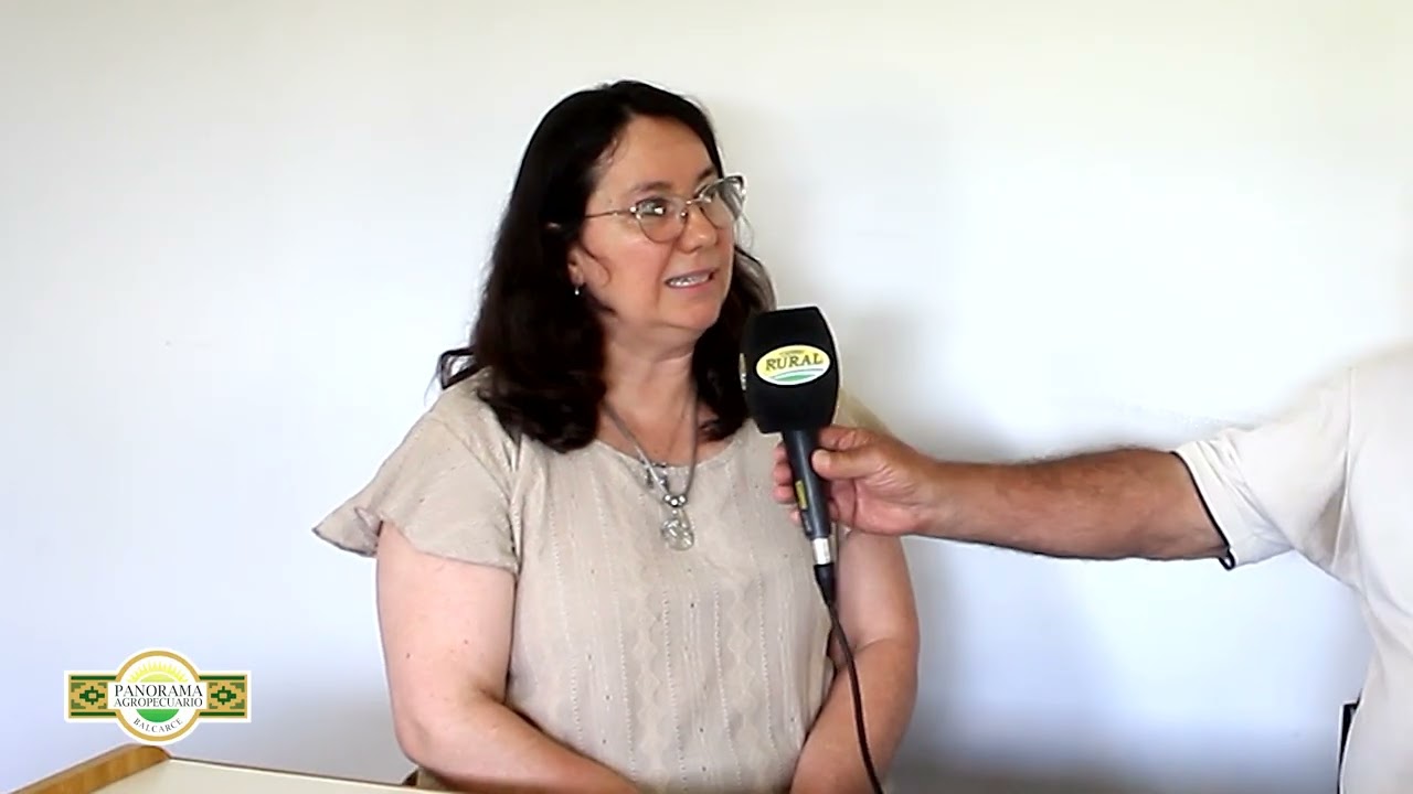 Panorama Agropecuario Balcarce 17/2 Fac. Cs Agrarias- Producción Ganadera