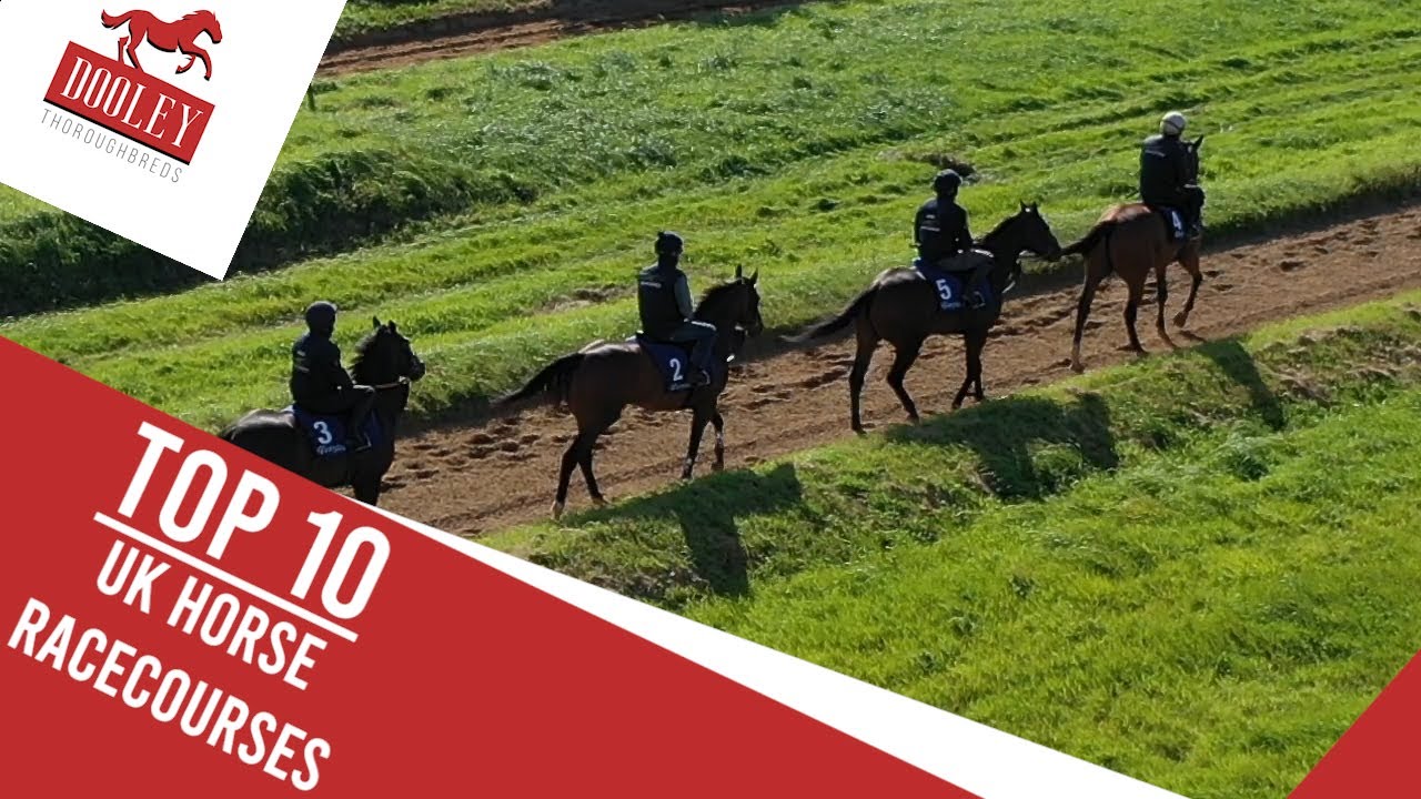 Top 10 Horse Racecourses | Top 10 List