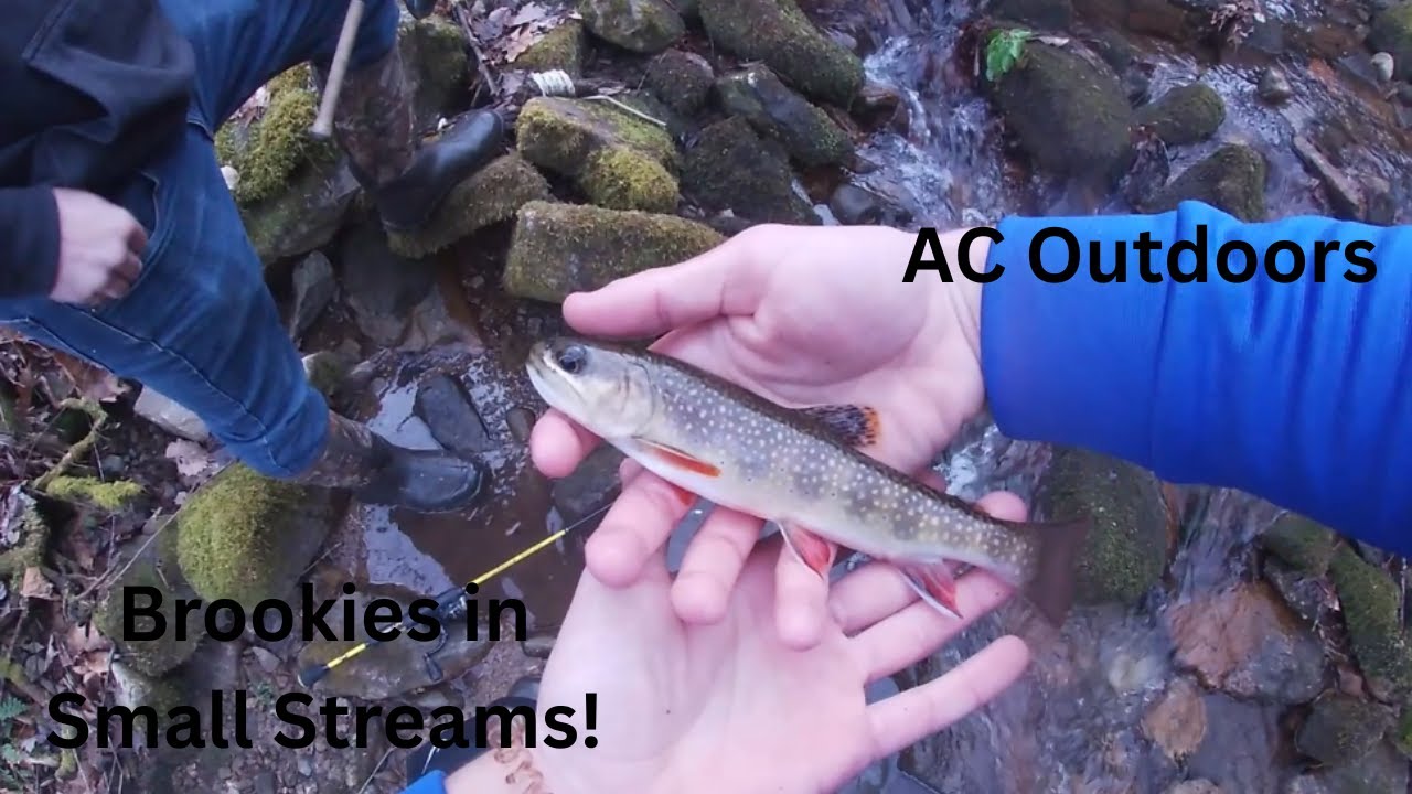 CATCHING BEAUTIFUL BROOK TROUT IN SMALL STREAMS!! (AMAZING SCENERY!)