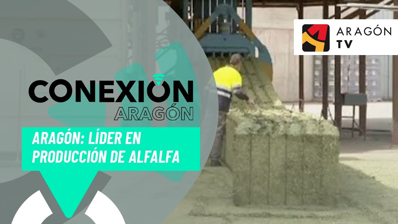 Aragón: líder en producción de alfalfa