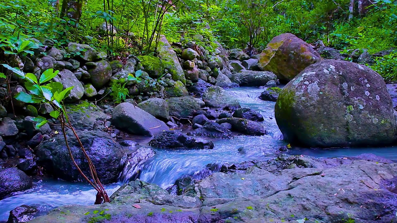 River Sounds to Calm Anxiety | Deep Sleep Flowing Water Ambience