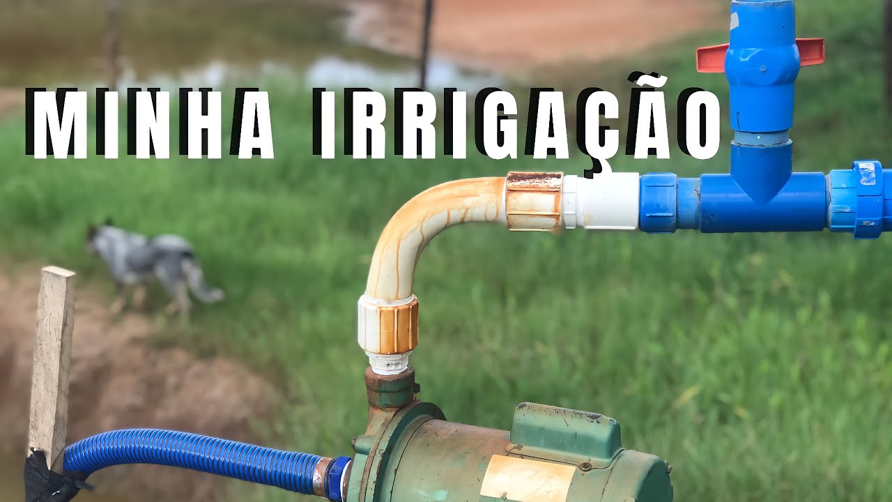 Irrigação com bomba elétrica Thebe 2 CV