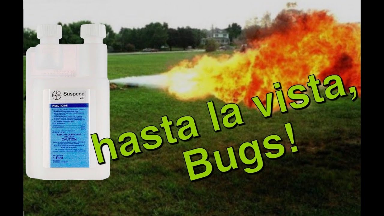 save your money & DIY pest control. perfect for beginners #SuspendSC #DIY #pestcontrol #cheap
