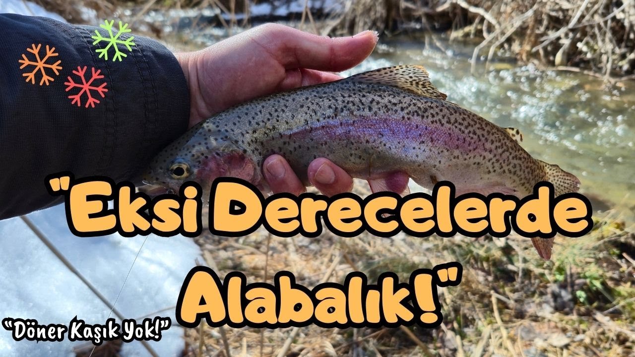 🎣Eksi Derecelerde Alabalık Avı | Döner Kaşık Yok!❄️ Ezber Bozan Seri 8.Bölüm #winter #fishing