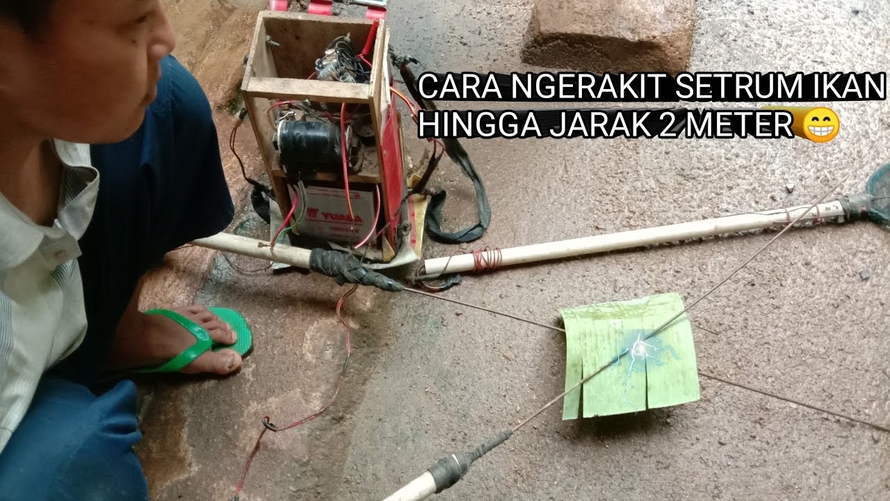 Setrum ikan bisa sampai jarak 2 meter