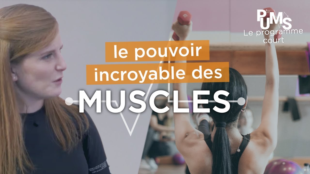 Nos muscles, nos meilleurs alliés pour une meilleure santé et c’est facile