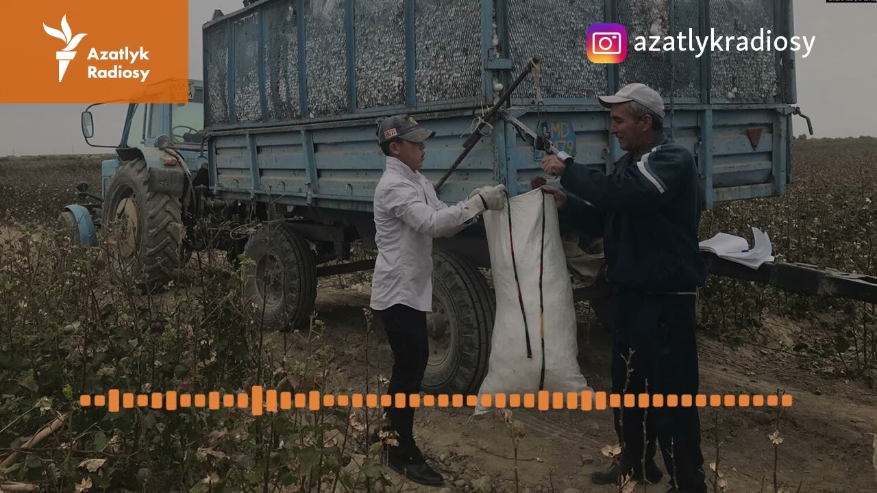 Maryda pagta ugradylan g&uuml;nl&uuml;k&ccedil;iler bilen potrat&ccedil;ylaryň arasynda dawa d&ouml;redi