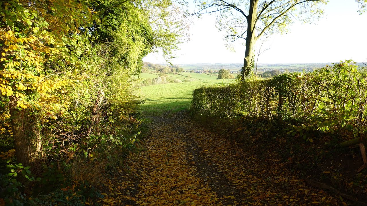 Luswandeling Eperheide, Mechelen, Cottessen