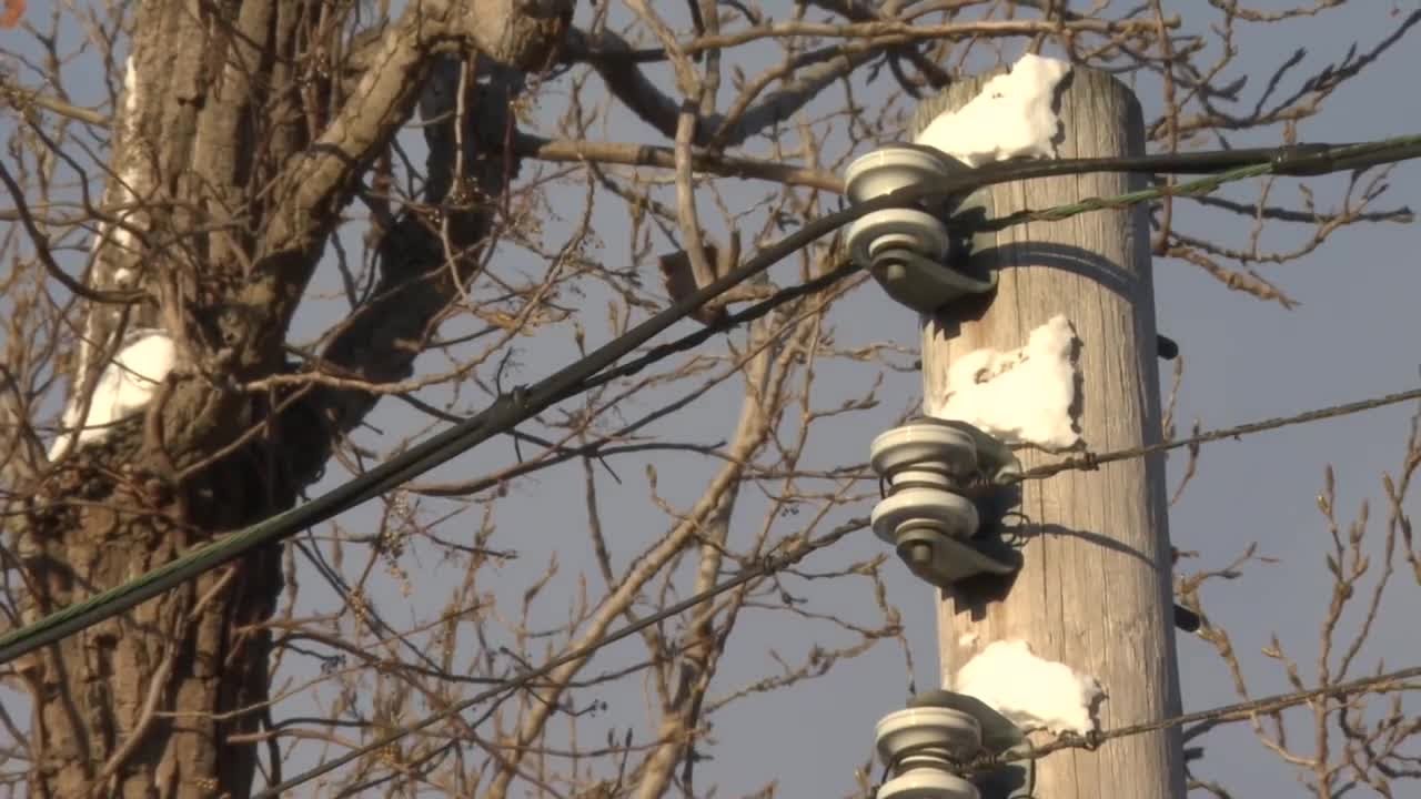 Could electric bills go up in Michigan after Ontario's 25% tariff on electricity?