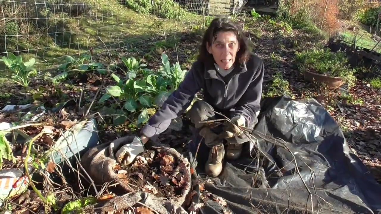 La batata e le patate coltivate in contenitori: i risultati !