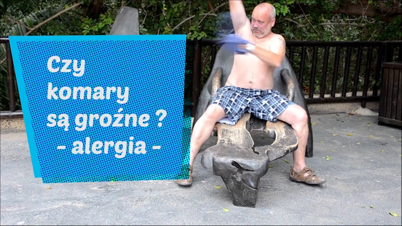 Komary i Alergia. Plaga