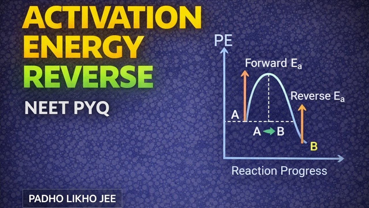 Activation Energy Forward vs Reverse Reaction | NEET Chemistry PYQ | Chemical Kinetics