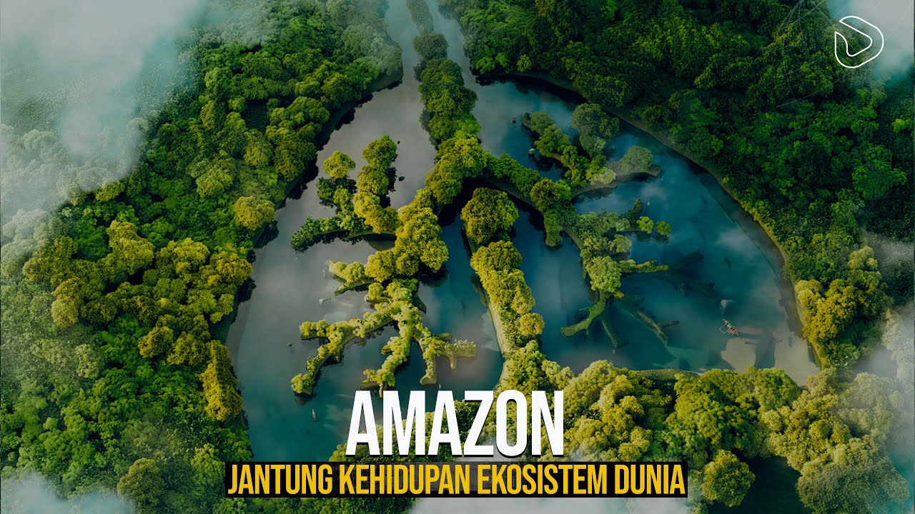 Amazon: Keajaiban Raja Semua Hutan yang Menciptakan Sungai Terapung