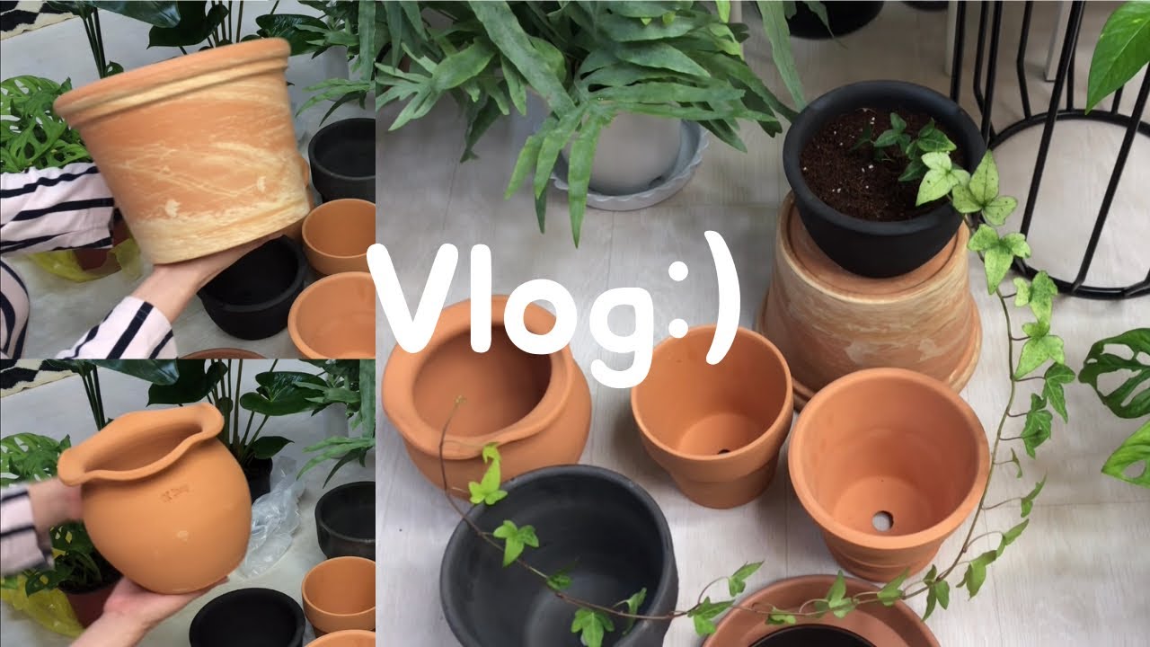 토분 쇼핑 언박싱 Vlog🪴금성토기화분 쇼핑, 토분 싸게 파는 곳,  백설공주 아이비 토분으로 이사