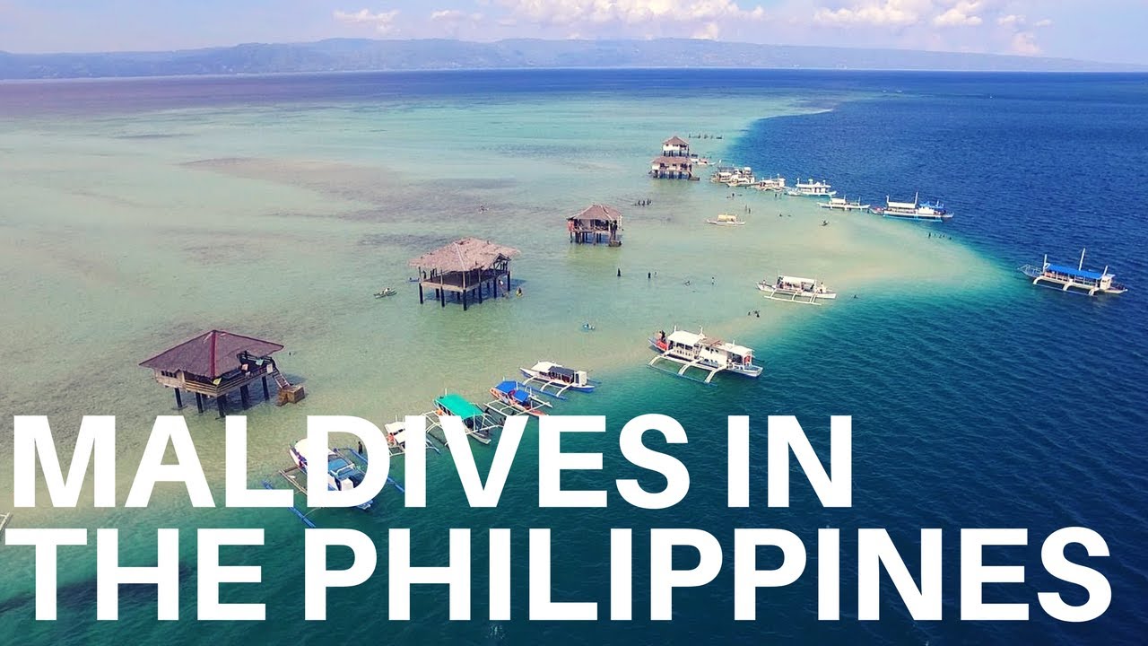 Maldive of the Philippines/ Manjuyod Sandbar, Dolphins in Bais City n Turtles in Apo Island