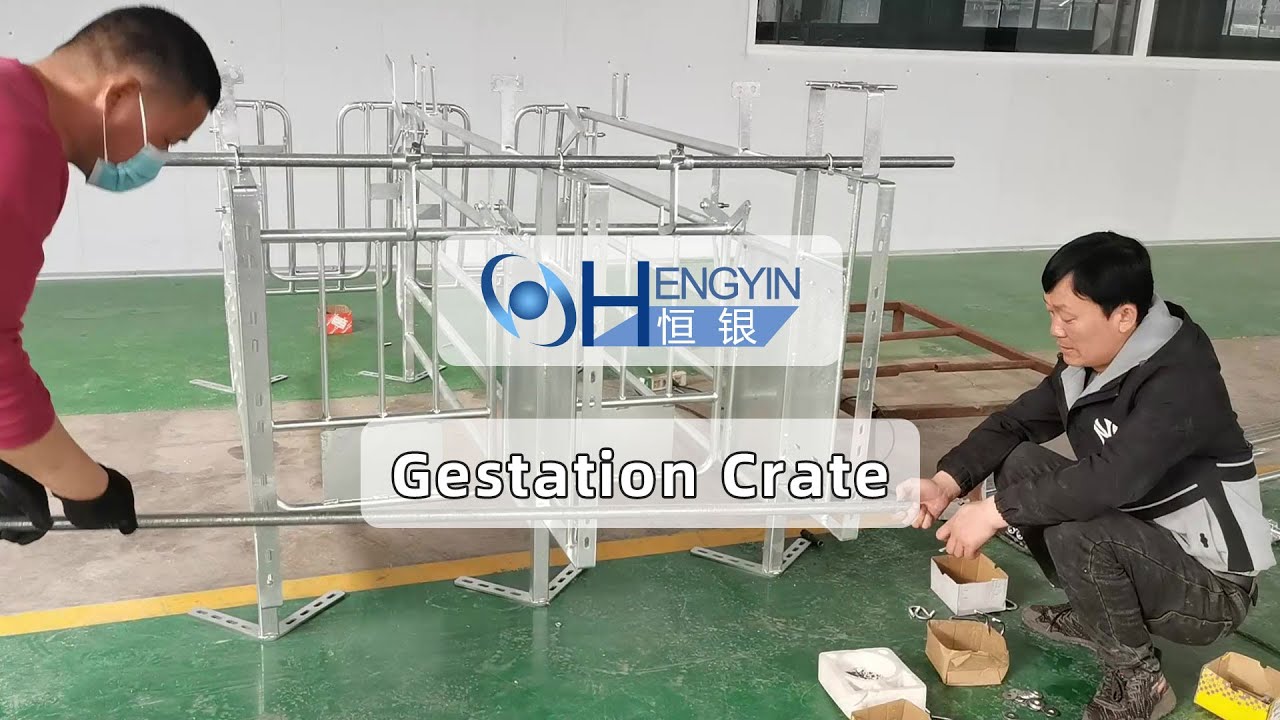 Pig farm gestation crate installation step decomposition2 - Hengyin