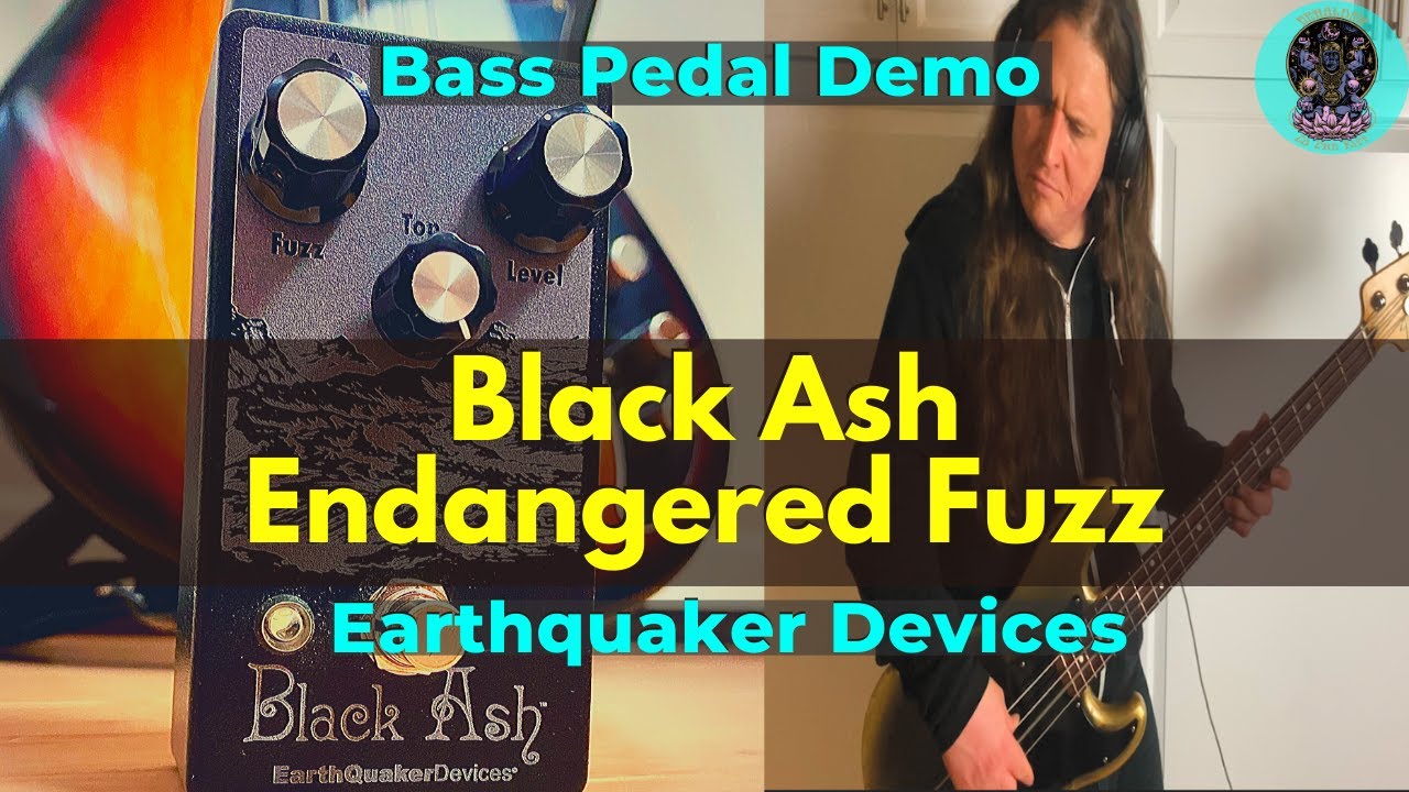Earthquaker Devices Bass Pedal Demo 
