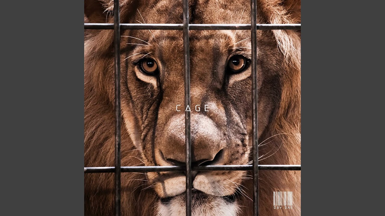 Cage