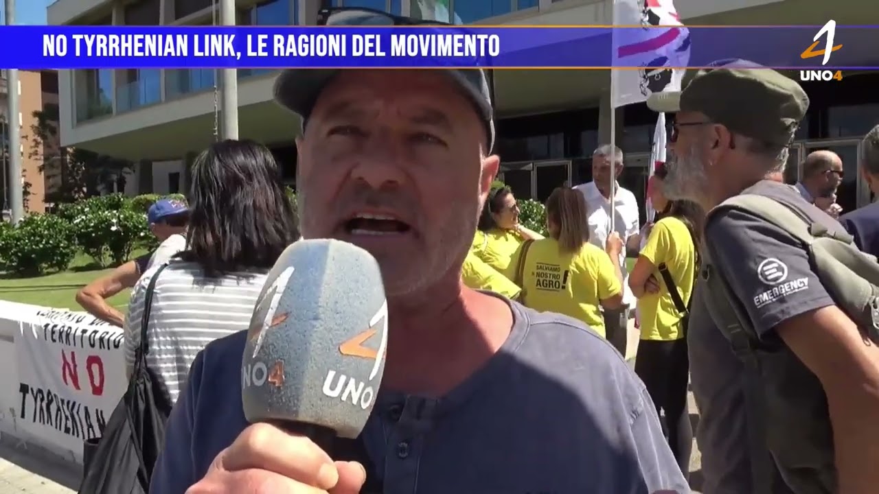 No Tyrrhenian link, le ragioni del movimento