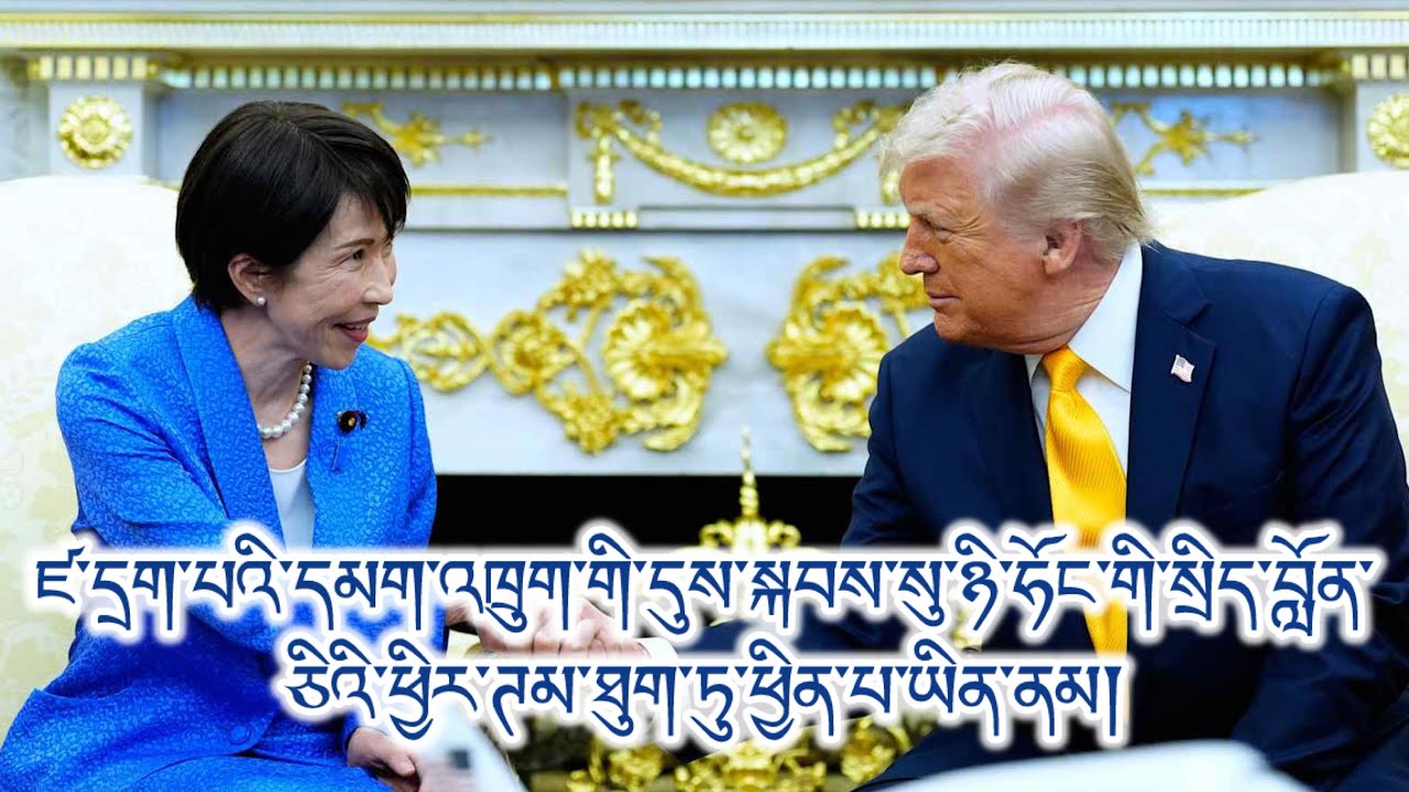 རྒྱལ་འབྲེལ་ཙམ་ལས་བརྒལ་བ། རྒྱབ་སྐྱོར། སྐྱོན་བརྗོད། ཆེ་མཐོང་དང་བརྩི་བཀུར། ཟུངས་ཤུཊ་སྤྲད་པ། མཐུན་ཕྱོགས།