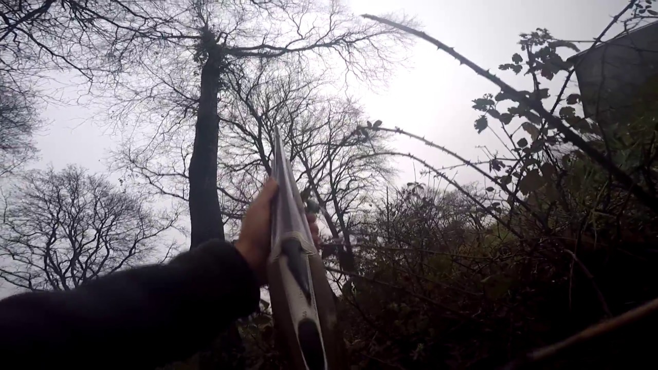 Chasse à la palombe ( affût )