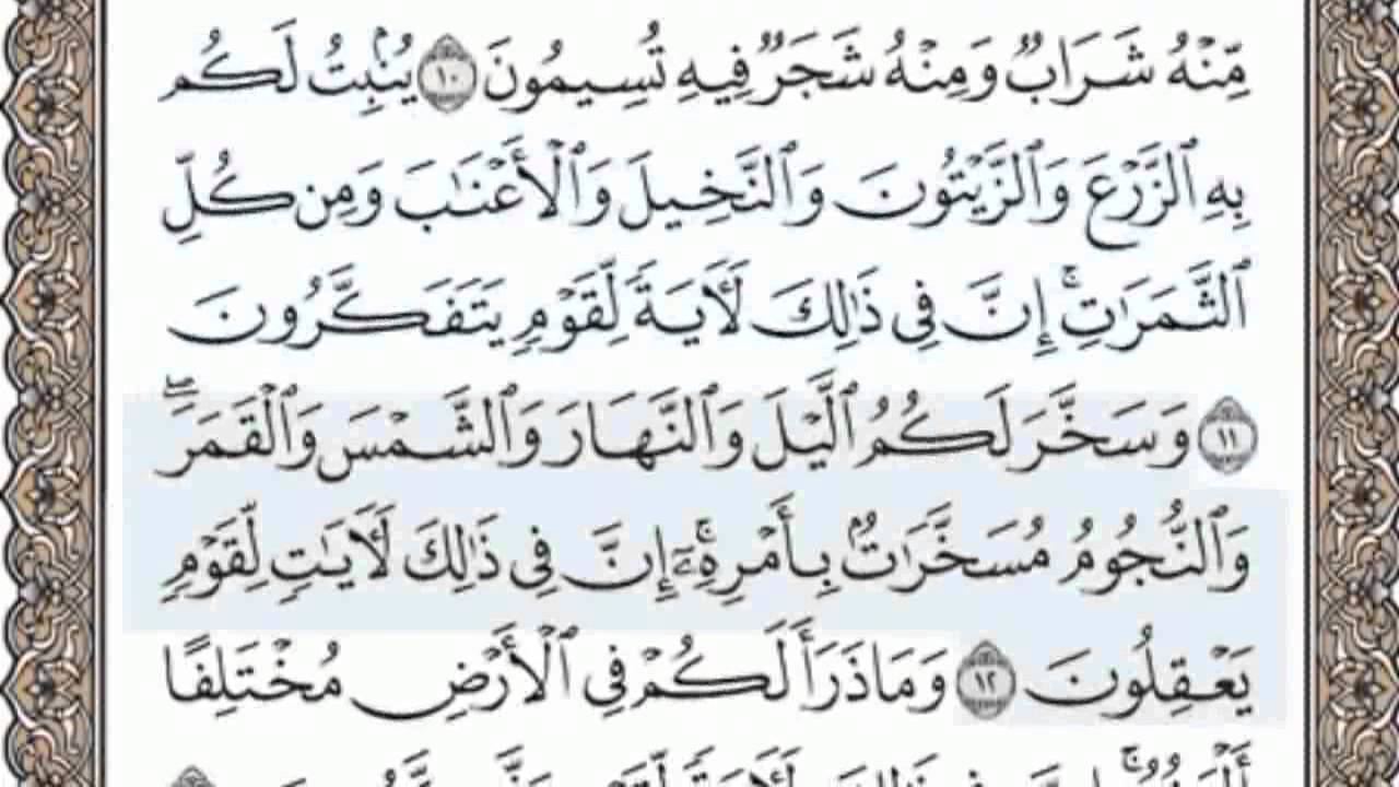 القرآن الكريم بالصفحات سماع وقراءة ص/ 268 الشيخ محمد صديق المنشاوي