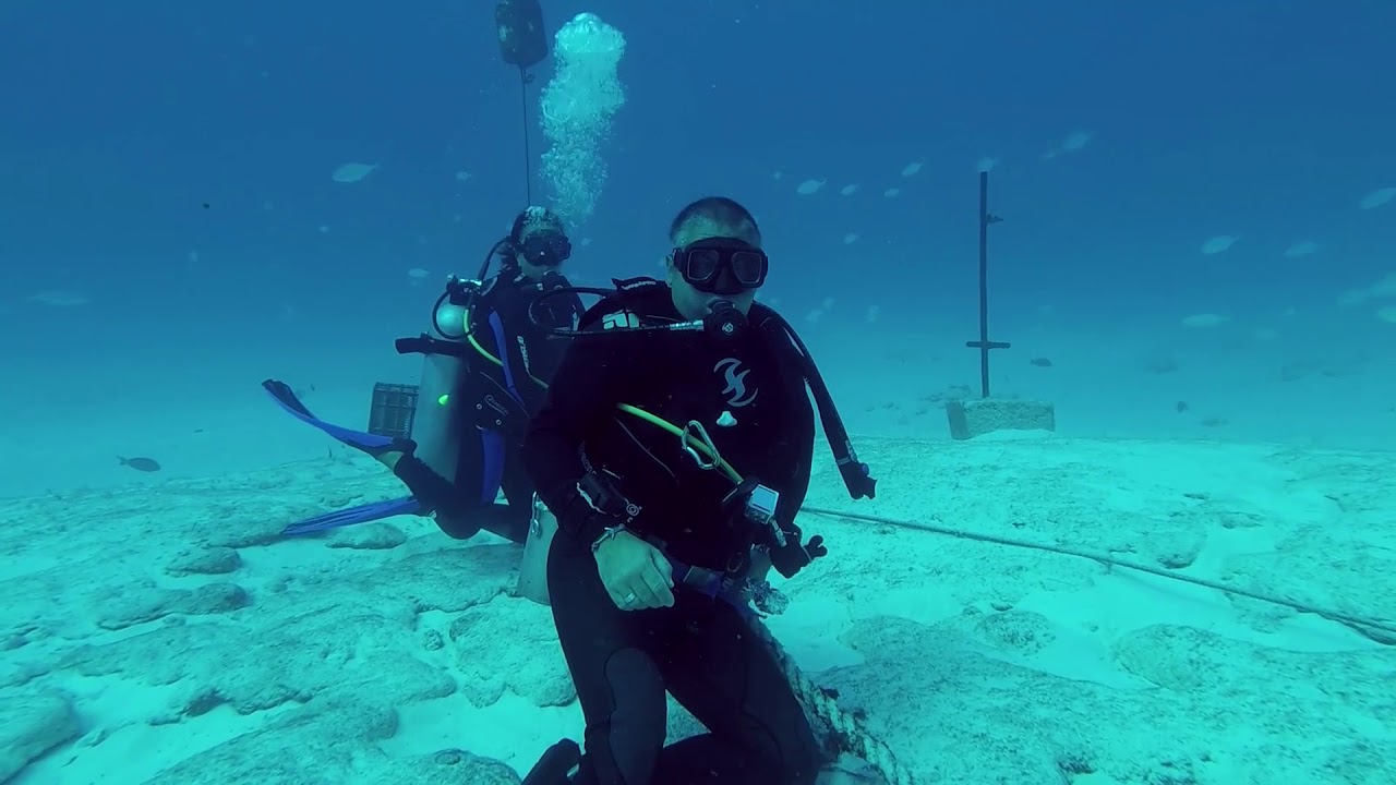 Immersione con gli squali Toro - Messico - Yucatan 2018