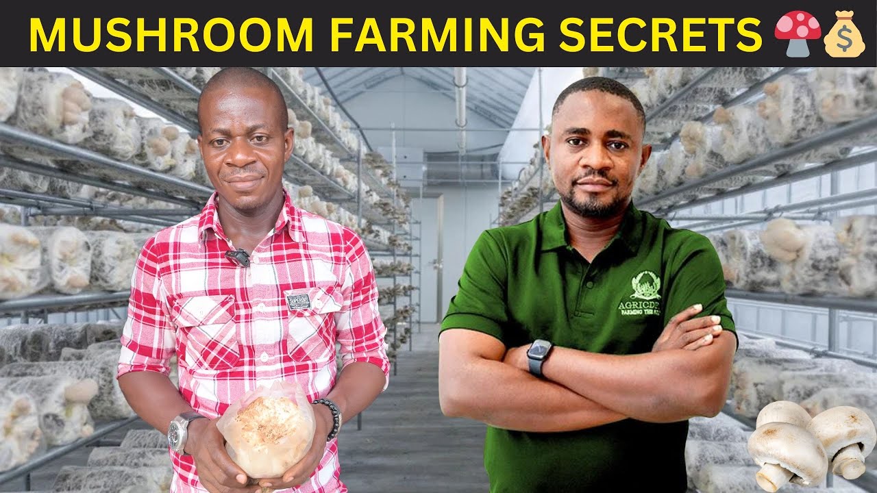 Mushroom Farming Secret Made Him Millions