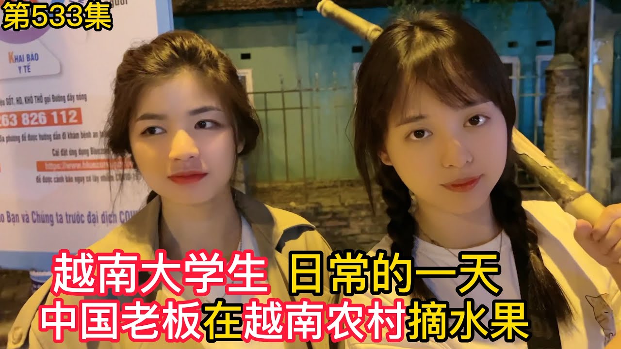 第533集，中國老闆在越南農村摘水果，越南大學生日常的一天！