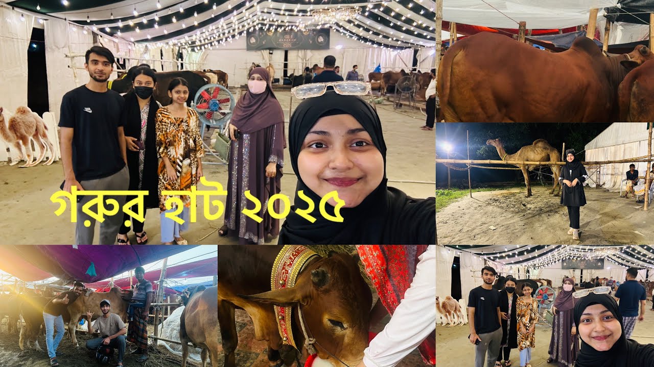 গরু টা কিনে নিয়েই আসলাম।কোন হাটে গেলাম?কে কে গেলাম গরু কিনতে?