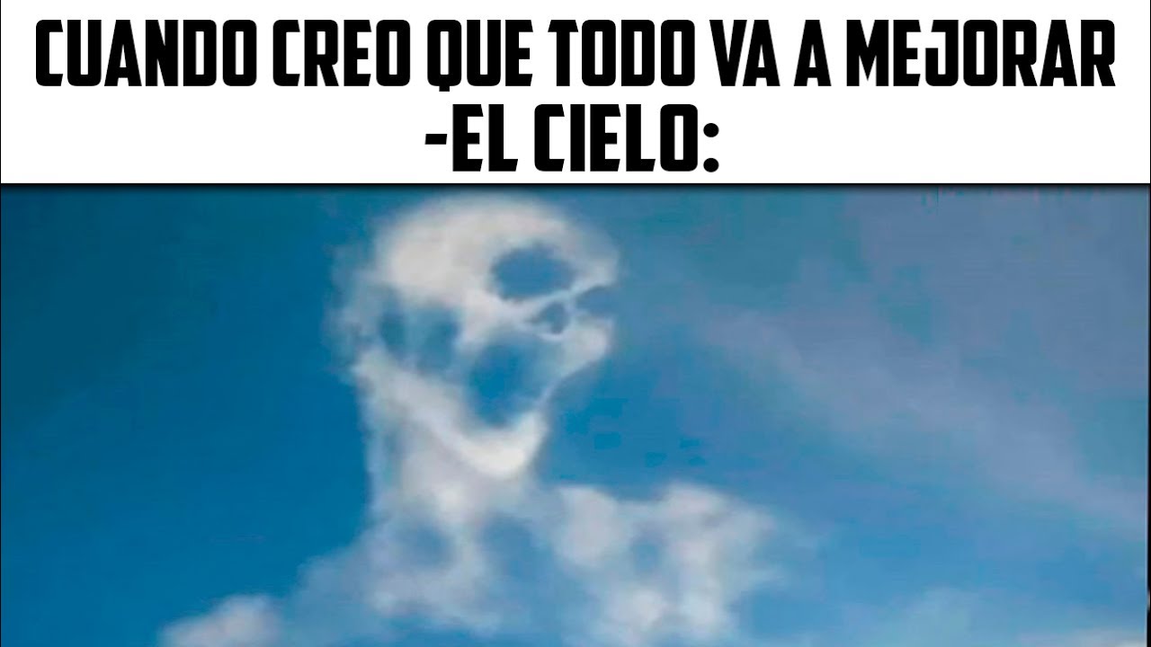 MEMES #100