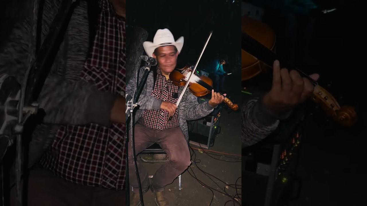 Para que bailen