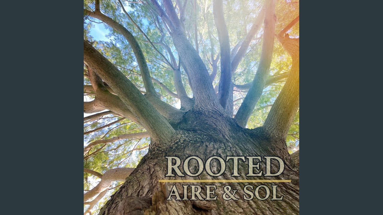 Rooted