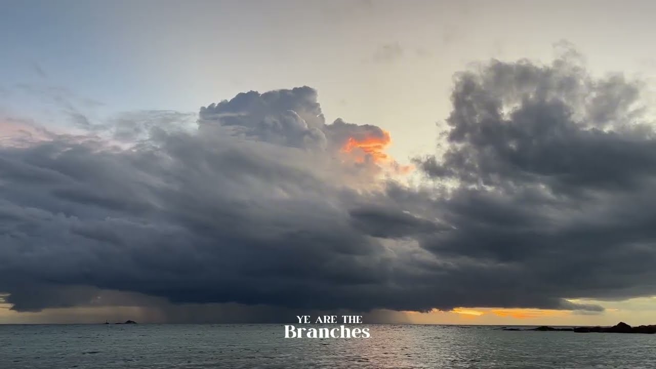 [RELAX YOUR MIND] Peaceful Lo-fi meditation #yearethebranches